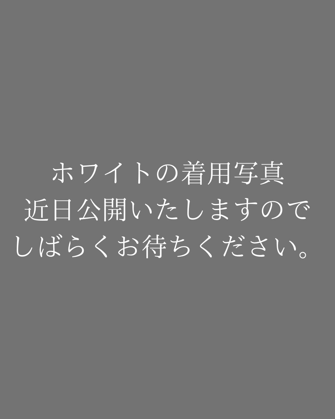 ストーンダガーパーカー WOMEN